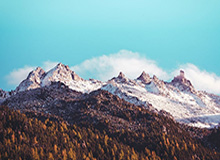 新葡萄8883官网：开启一场关于葡萄与生活的美好旅程